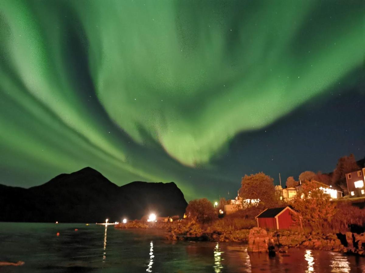 Apartmán Waterfront Senja Torsken Exteriér fotografie