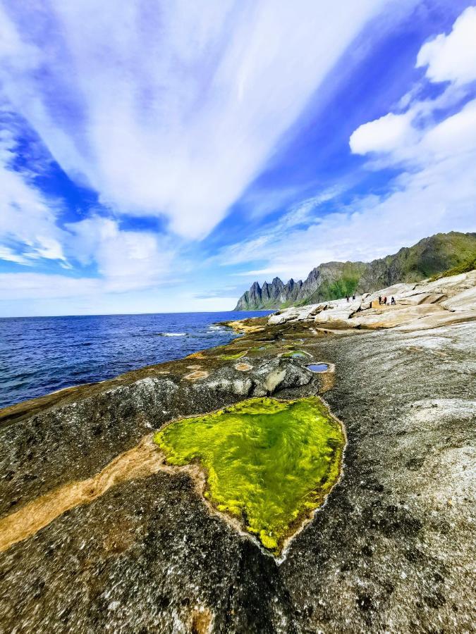 Apartmán Waterfront Senja Torsken Exteriér fotografie