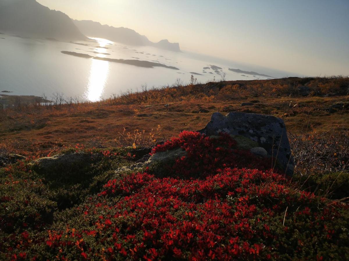 Apartmán Waterfront Senja Torsken Exteriér fotografie