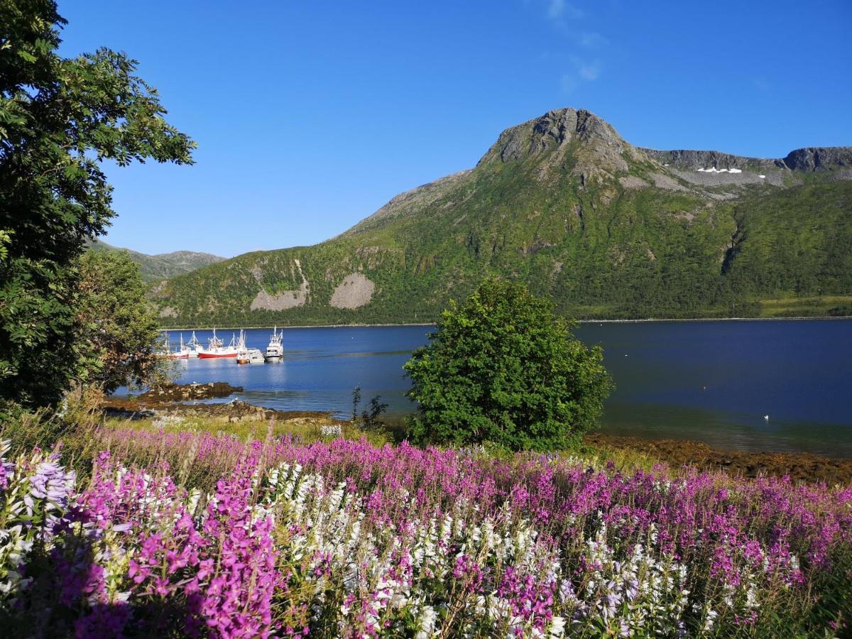 Apartmán Waterfront Senja Torsken Exteriér fotografie