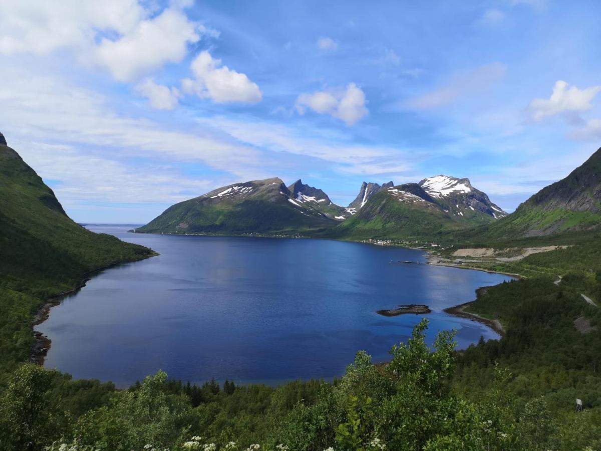Apartmán Waterfront Senja Torsken Exteriér fotografie
